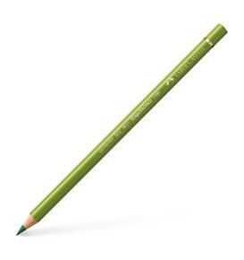 Colour Pencil Polychromos green earth yellowish